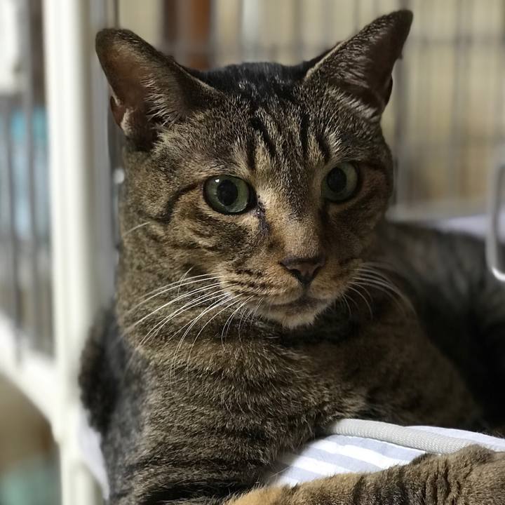 082a7f12 871d 4ce2 9839 701580cba530 1536885970002