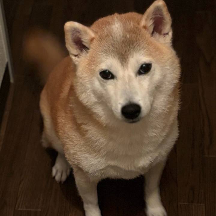 082a9d65 e265 46f0 b7d5 42af2e3df8cf 1732134390000