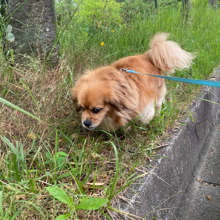 082ad39d f748 4111 927d eabecc3ec34e 1656804194186