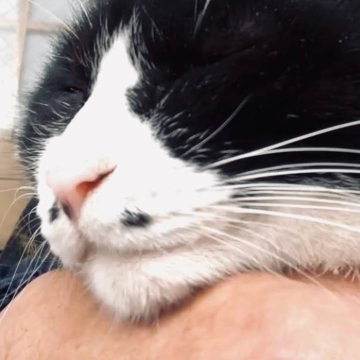 082b2b5b 15b5 4830 b6fa 5a3f01f6a6a3 1736043496140