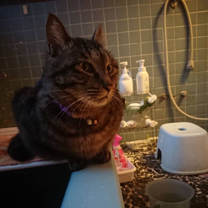 082b2d38 3970 4824 8a49 baa94562a10a 1652695944427