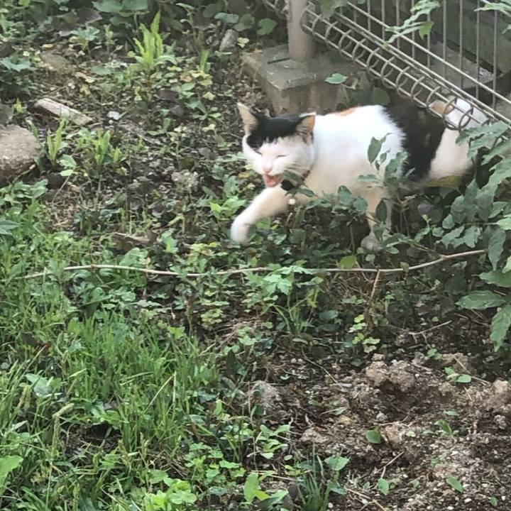 082b4275 40ec 48ec 9ecb 0136fc654180 1719226771922