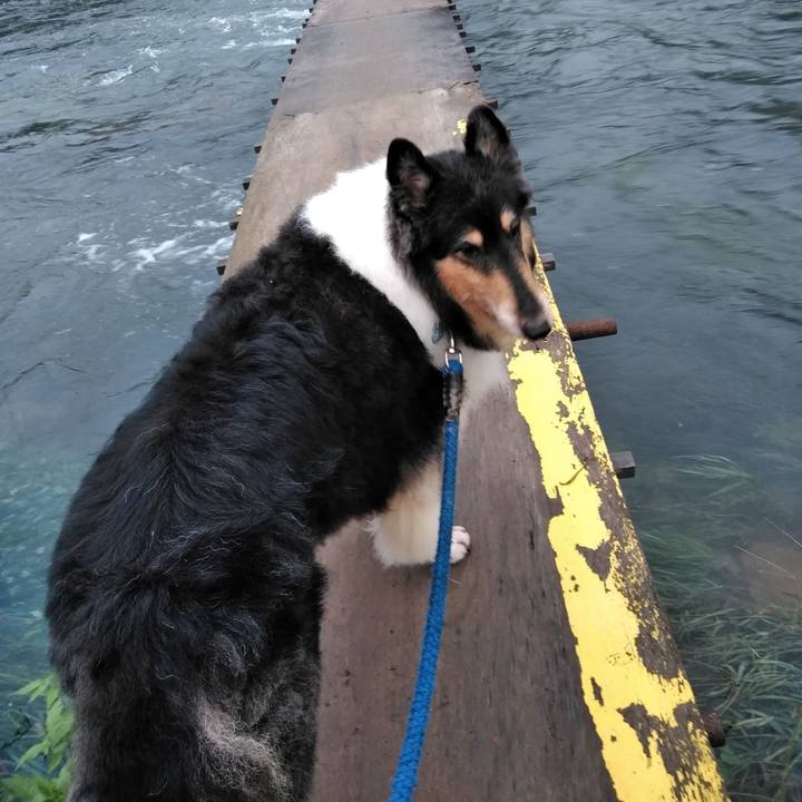 082bafcc 22e2 4641 8050 58d18c171101 1538055004020