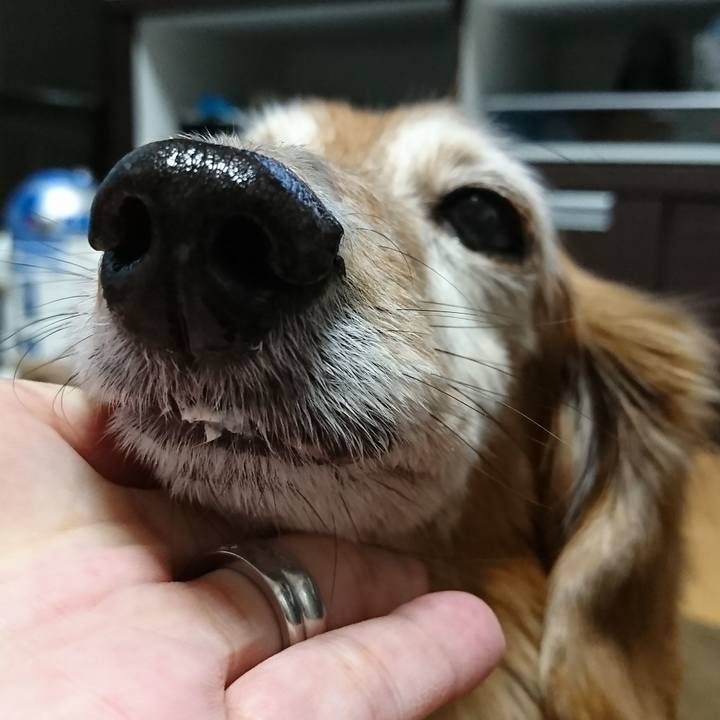 082bcd27 4b53 44c8 a4b8 8273d38e10d8 1515969671513