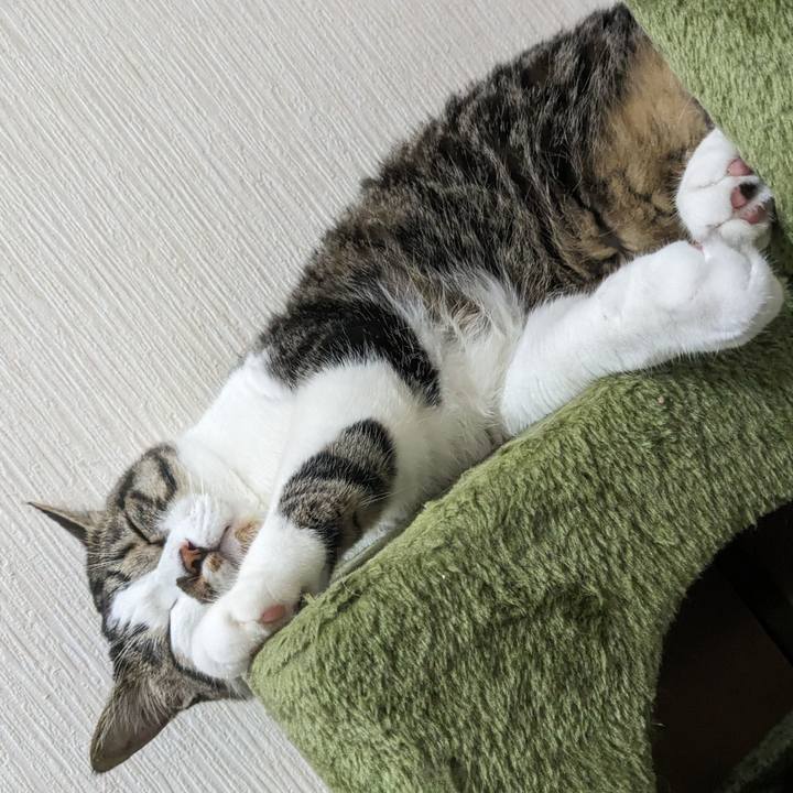 082c1e06 58be 47e1 acd9 80cf913dc7b7 1718609185212