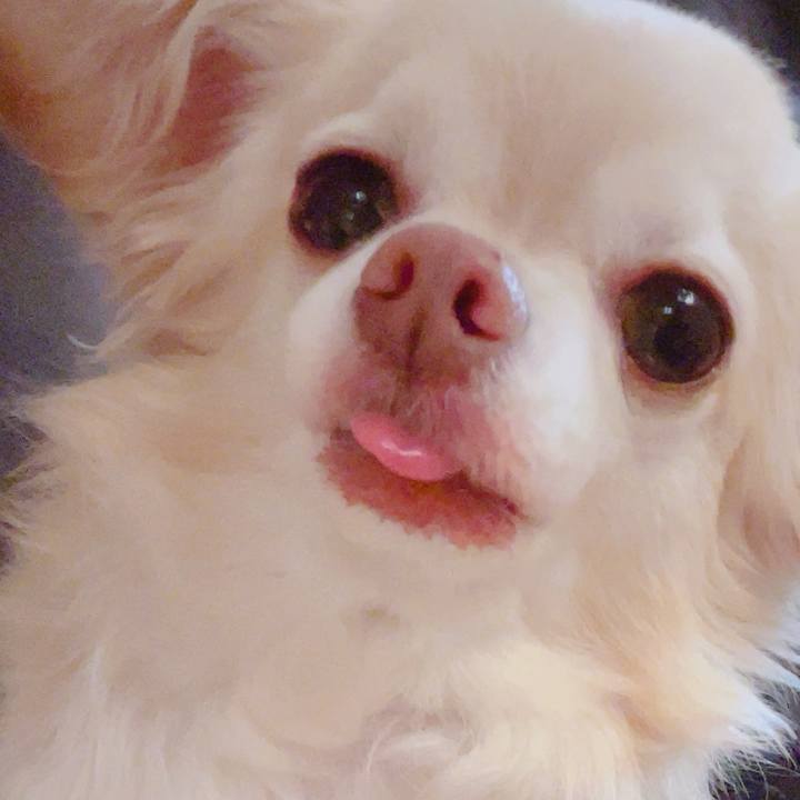 082c8c67 9b4a 4bbd bead 767af1185935 1755439798440