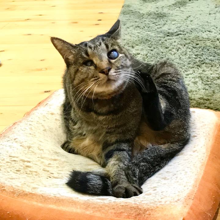 082c8cf8 d9e4 4e22 908e 7eaefff26a57 1578470774105