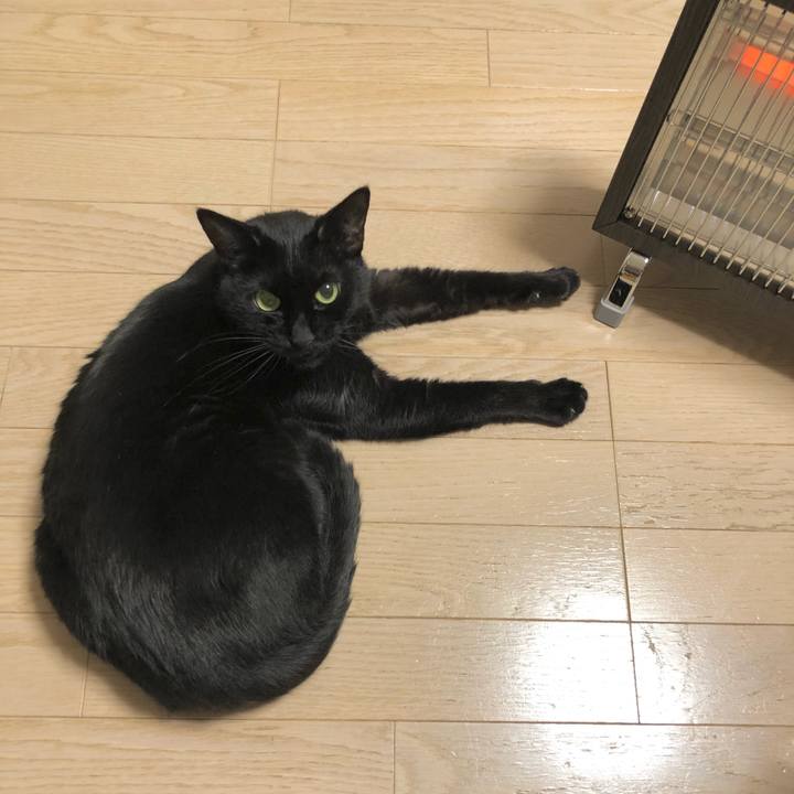 082cb867 6d77 4827 b600 ffb2f74d85cd 1612183516674