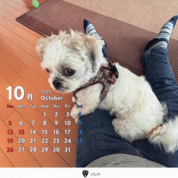 082cc216 e31c 4f7b 9d09 c3911f70ef85 1759268532314