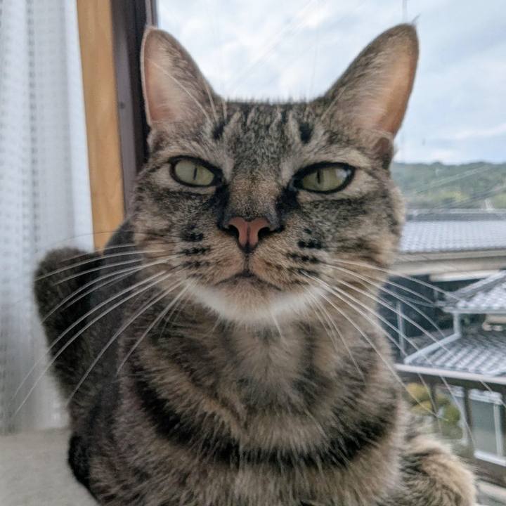 082d1fdf 5239 446d 8931 9d15b5e02cb4 1737365729385