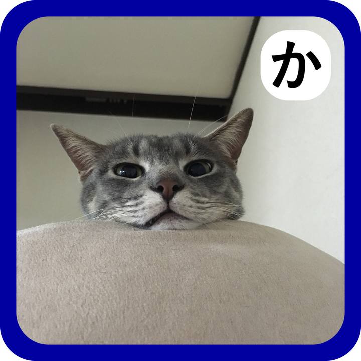 082d3794 edd8 41a2 9741 d3b91f352294 1514877648127