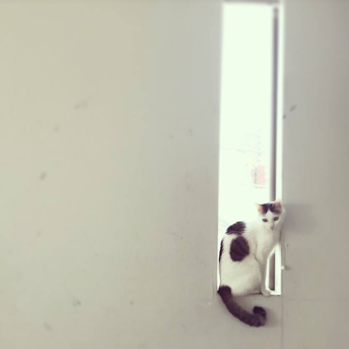 082d4ab1 a58d 4291 a423 6b481c8c5e05 1519692315320