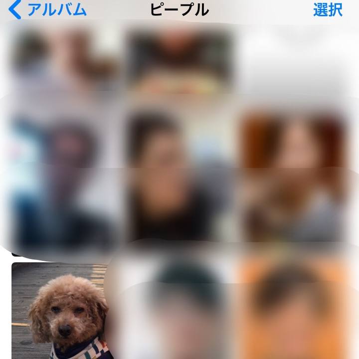 082db273 f9fc 4b71 99d4 3f6b76f39510 1508070924391