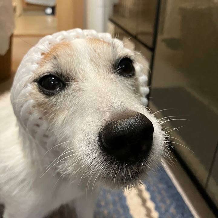 082e193c 8f48 472b bacf b5444b70063f 1697240905347