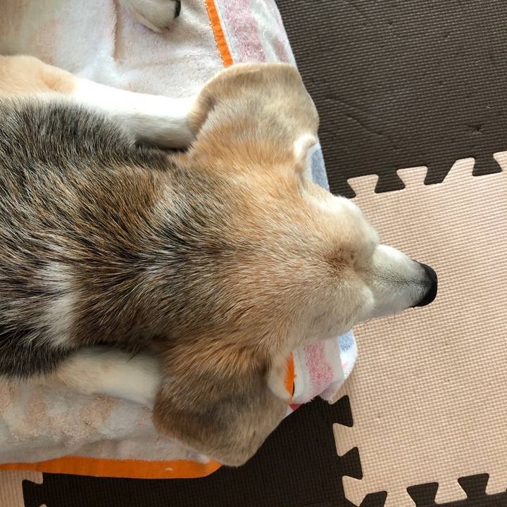 082e1a90 56cf 4f7c 8218 a40dcef0dcb1 1597554211711