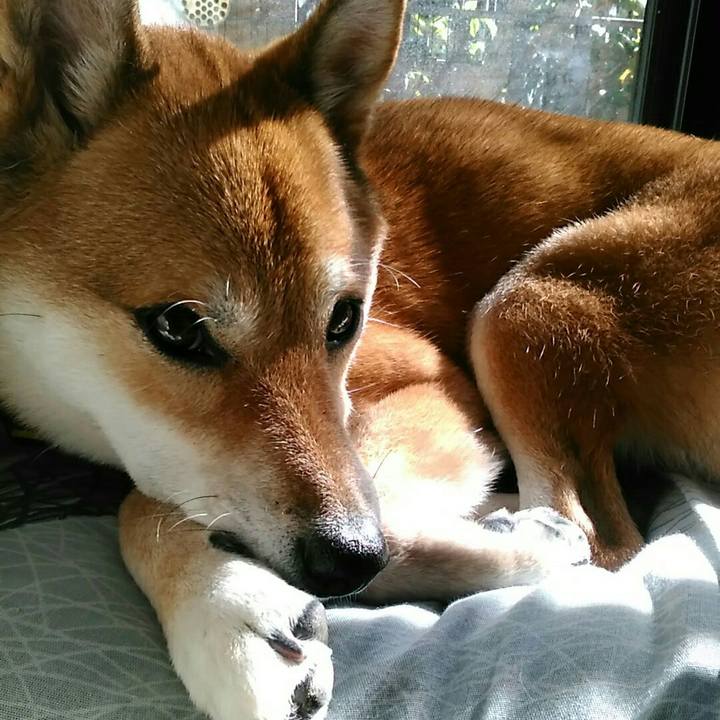 082e1e90 05f0 46f1 a62b a37cf07982d4 1570597658231