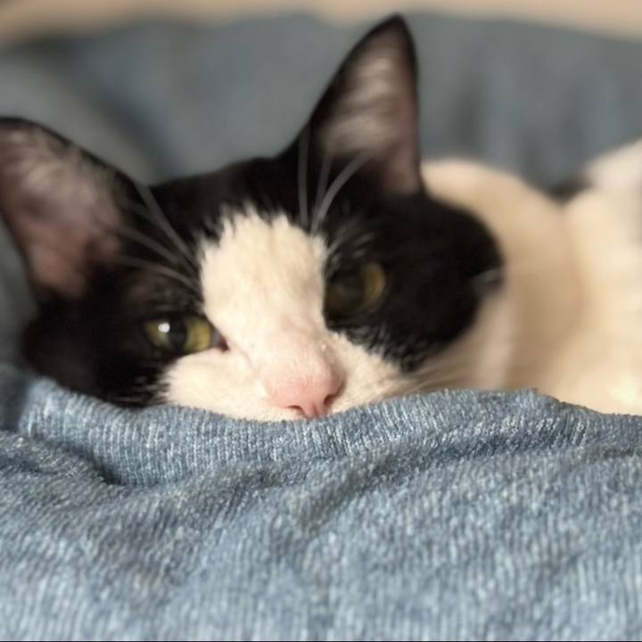 082e4cef f713 403c 8dab 2c50a98efb05 1772717239414