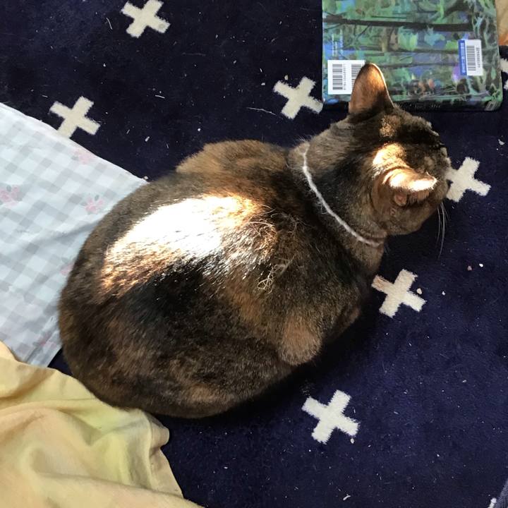 082e6746 3d4d 41c9 b186 98aca7292a6d 1737967924272