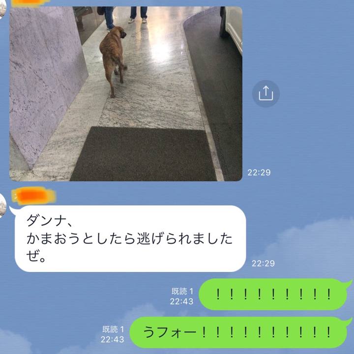 082e9d29 8cb0 421e b8a5 c0ee1e2bd9b6 1524664741054