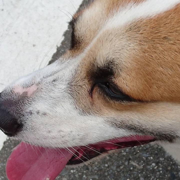 082eb499 f854 4b2d bbe9 a5ee42cd6658 1658795243936