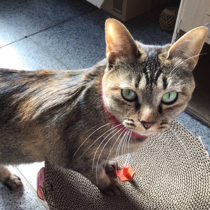 082eb5c5 22c4 4302 9c75 cd22a5c48611 1611112514726