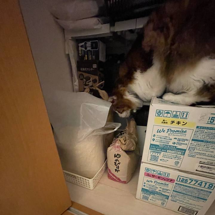 082ecfba 1c76 46ef 8f90 00ed0dafaf55 1736284644202