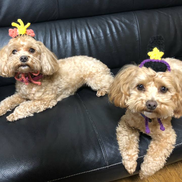 082ed3f2 07c6 4128 8205 27b4a0c84609 1648221367255