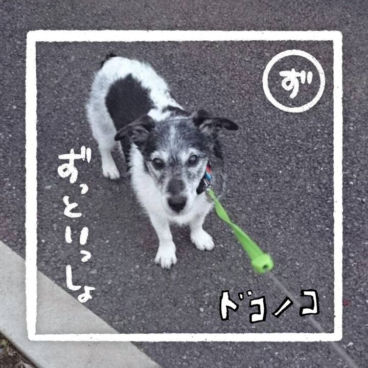 082f06da a2fc 43ba 97f5 fc3bd6a29c45 1685957882708