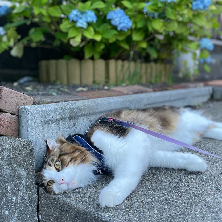 082f1874 741c 4e21 8091 d07cad29f4f9 1656792733094