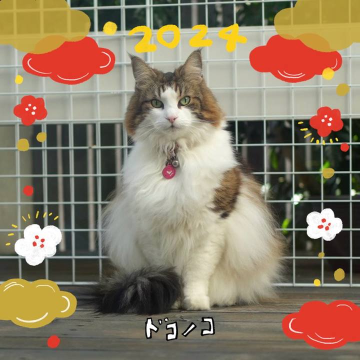 082f2d58 92a0 4586 a9f2 b819dba3c3ac 1704107510411