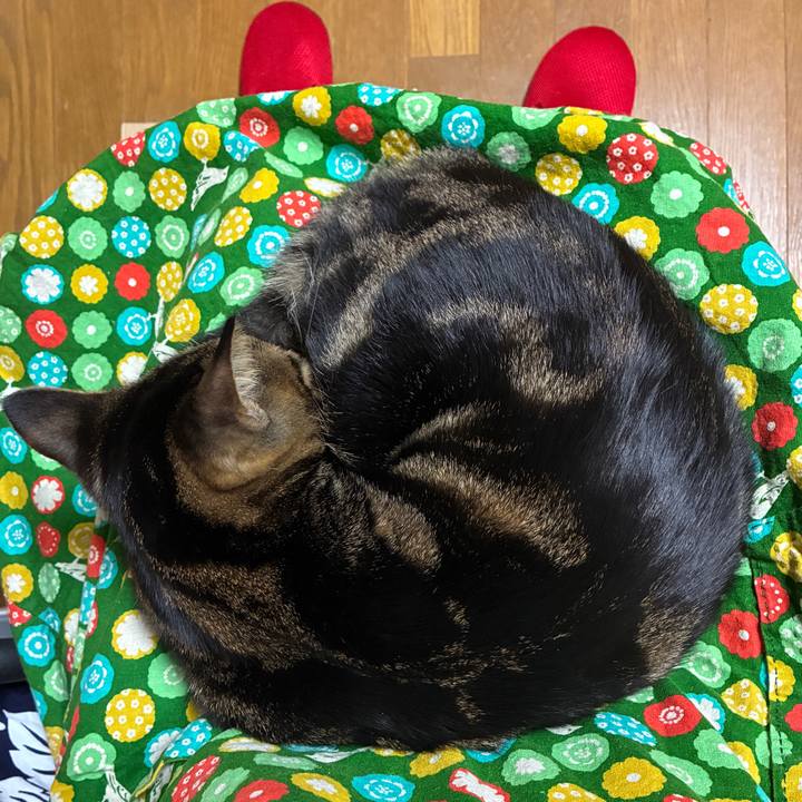 082f3d05 c82a 4287 be9c 67d6f2578b90 1767868911209