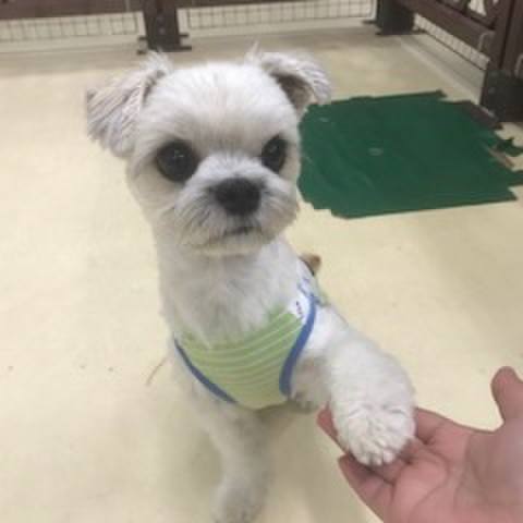 082ff166 c5fc 4e87 bdd8 542389469f23 1508240109484