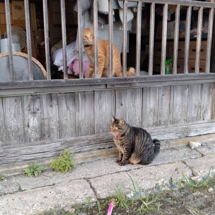 08301bc3 e32e 4368 92b8 3270fb0d7104 1695977305862