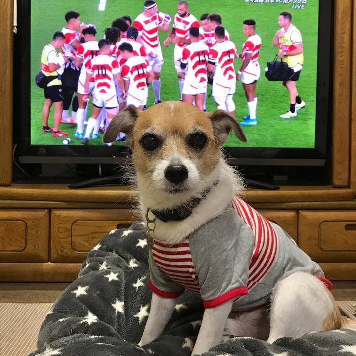 083026ca 4ed5 4a5e 8246 9e2537d471a6 1571566705170