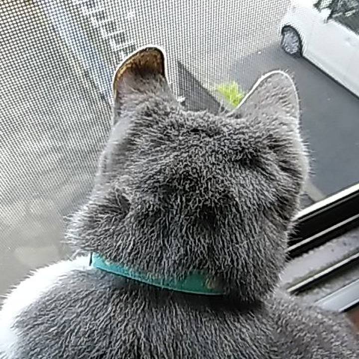 0830bf3b f528 4cb9 9c81 9975043df3e0 1588632429692