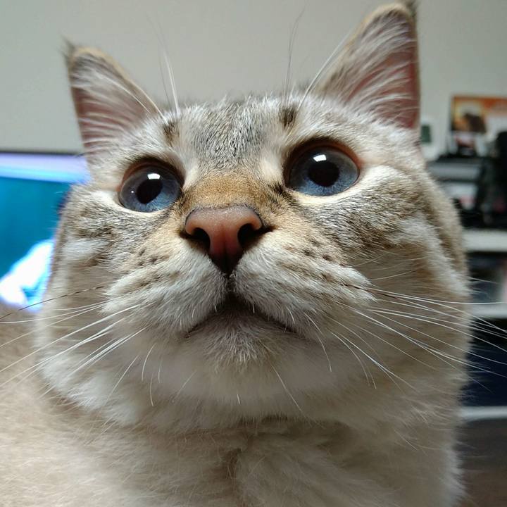 0830ee09 360d 4d3b 9f37 07c682355718 1694267975225