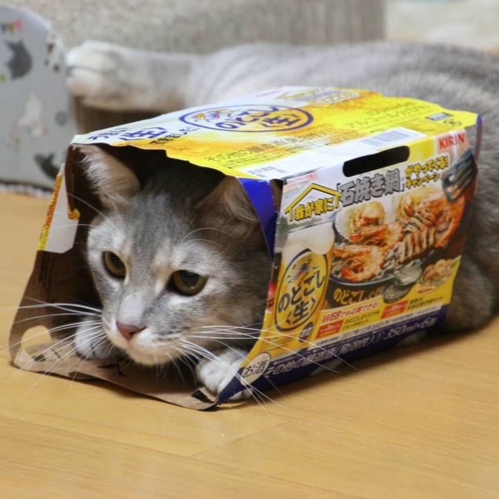 08310ce4 eaf0 4984 a64a c1060e0b2cb0 1516154898500