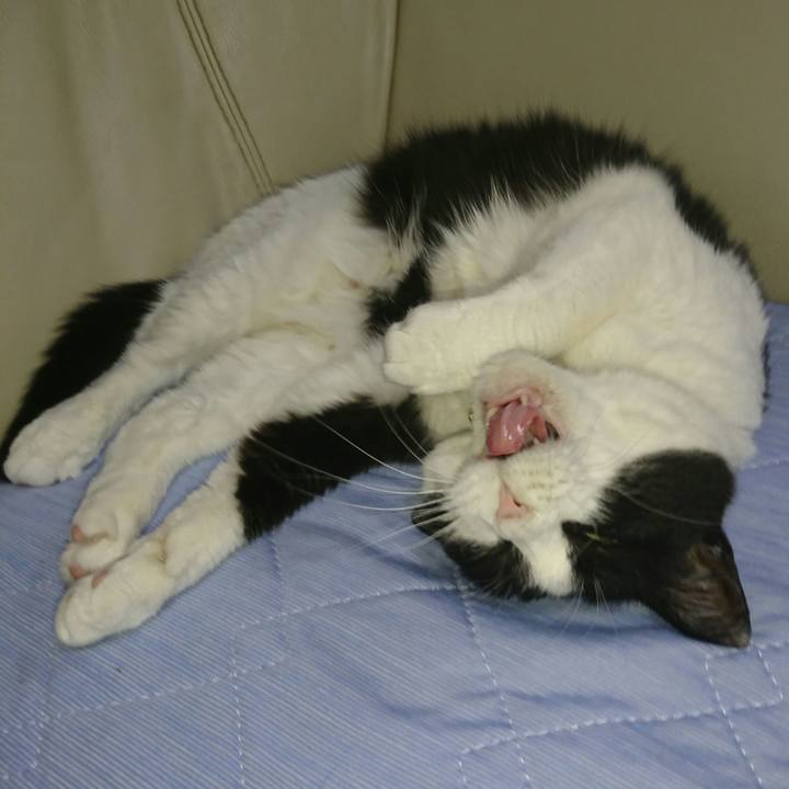 0831133c f99e 4fce b9b5 44d987a8b236 1560763114795