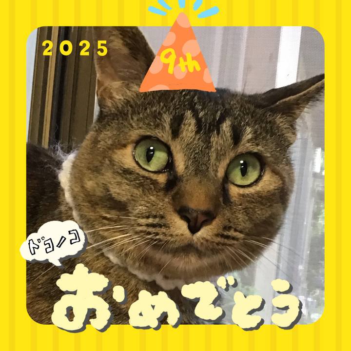 0831213d 2219 47d3 a93e 814f2488a14a 1749113287429