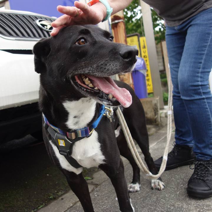 08314126 6de0 44a4 8a1b 42c4b1d78023 1654994453959