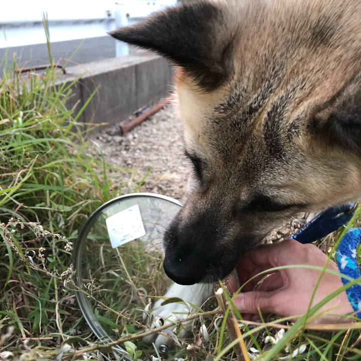 08317075 148a 4e5a b1ff 4bb3c7ef1ab6 1568720296816