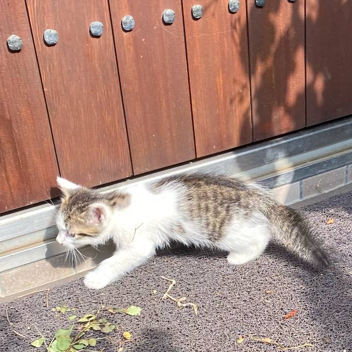 083170ab c348 4454 bba2 0d80eb49ee5a 1626746244850