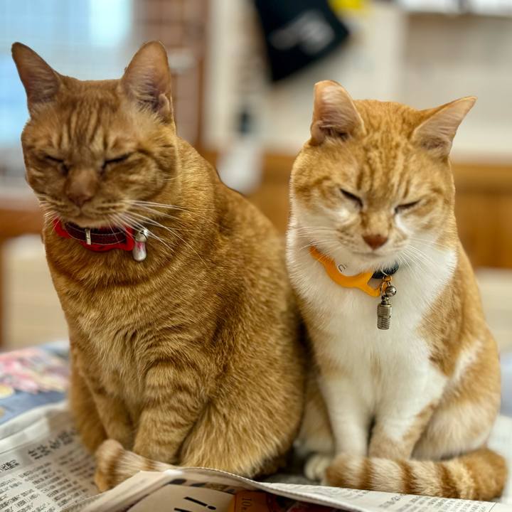 0831741b 0ba3 42fb 80c3 e483ccccda69 1763869633123