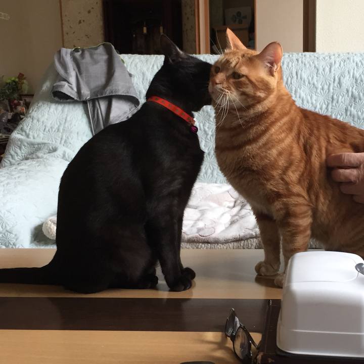 0831dd92 2f2b 4a82 b5eb dde96bae6ceb 1560340472926