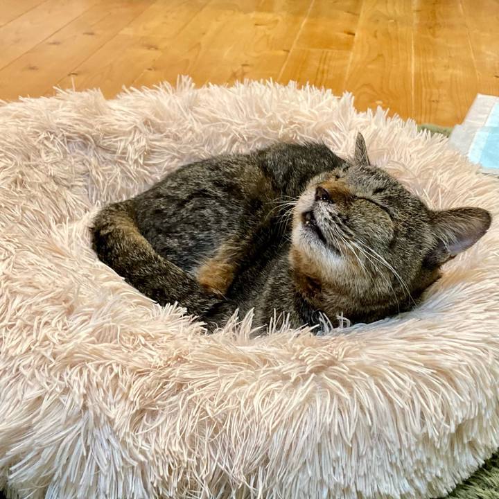 0831ffc5 d6c3 44fe 9504 523f235be17e 1686816450014