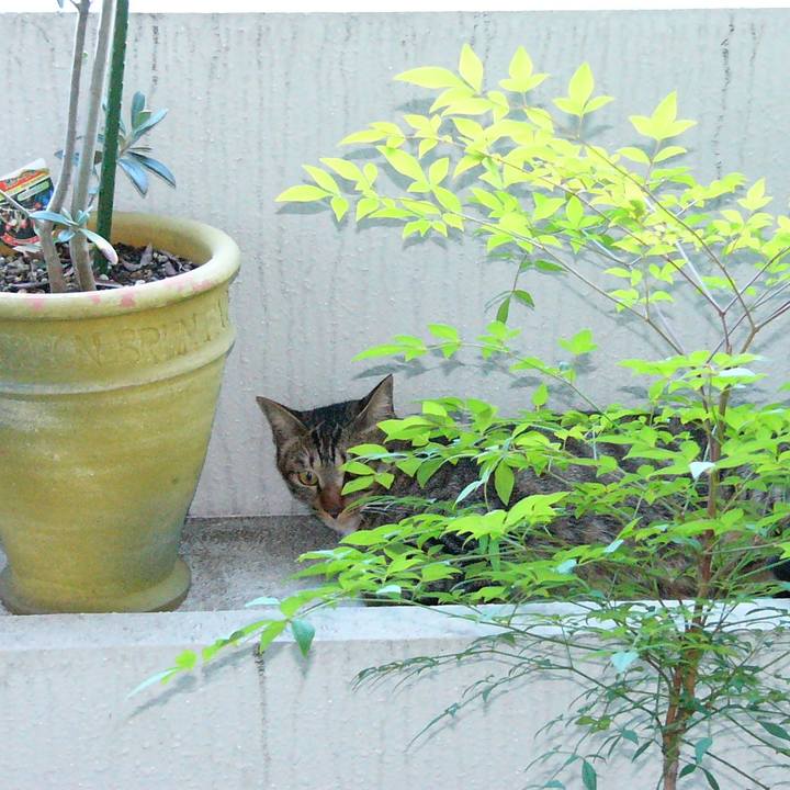 083247f7 b3a8 4e3b a7bb 72aa6383782e 1588656664266