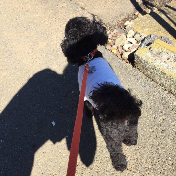 083276d6 0b63 4ae6 9794 4faa7fc024f1 1508734692493