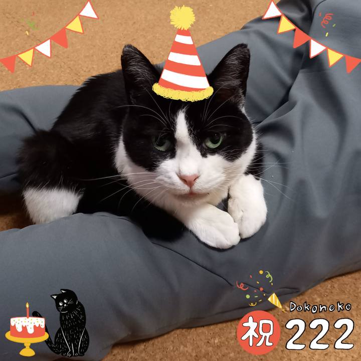 0832d6a2 4412 4b53 b7df c4b14e19aa4f 1645526912380