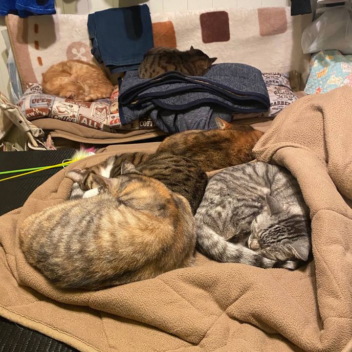 0832f2e8 4ce2 4c1b a598 18232505a12a 1583181172265