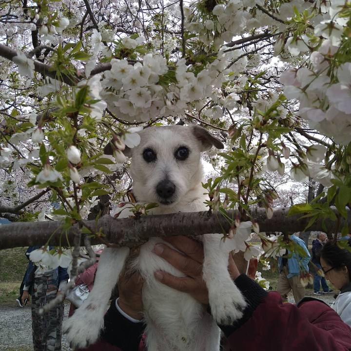 0832fbf9 025e 4dc7 9b92 ba28e2017ae6 1713266340705